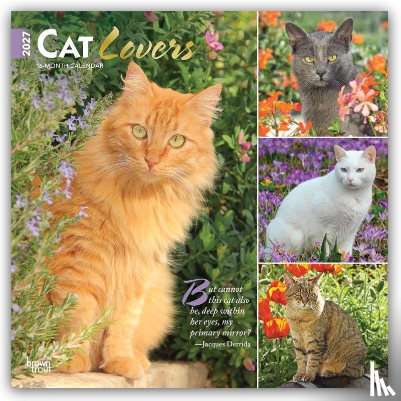 Browntrout - Cat Lovers 2027 12 X 24 Inch (Hanging) Monthly Square Wall Calendar Foil Stamped Cover Plastic-Free