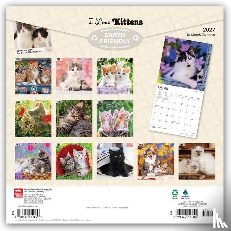 Browntrout - I Love Kittens 2027 12 X 24 Inch (Hanging) Monthly Square Wall Calendar Plastic-Free