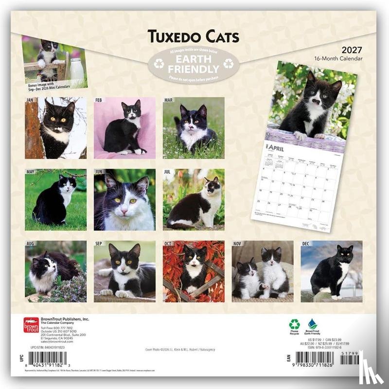 Browntrout - Tuxedo Cats 2027 12 X 24 Inch (Hanging) Monthly Square Wall Calendar Plastic-Free