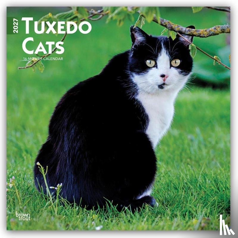 Browntrout - Tuxedo Cats 2027 12 X 24 Inch (Hanging) Monthly Square Wall Calendar Plastic-Free
