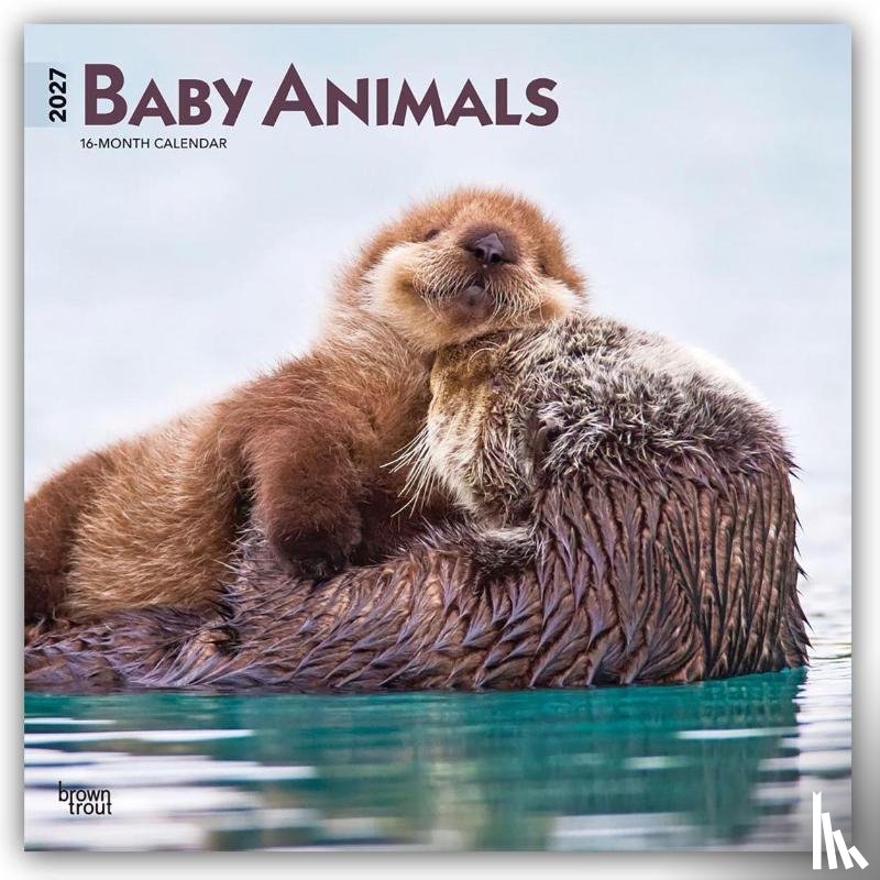 Browntrout - Baby Animals 2027 12 X 24 Inch (Hanging) Monthly Square Wall Calendar Plastic-Free
