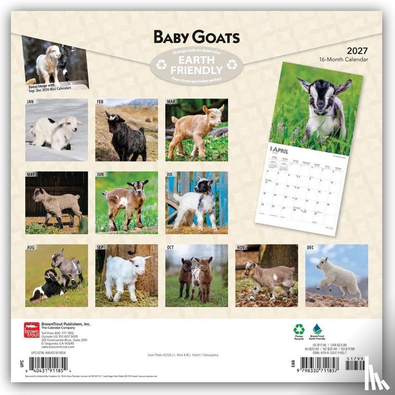Browntrout - Baby Goats 2027 12 X 24 Inch (Hanging) Monthly Square Wall Calendar Plastic-Free