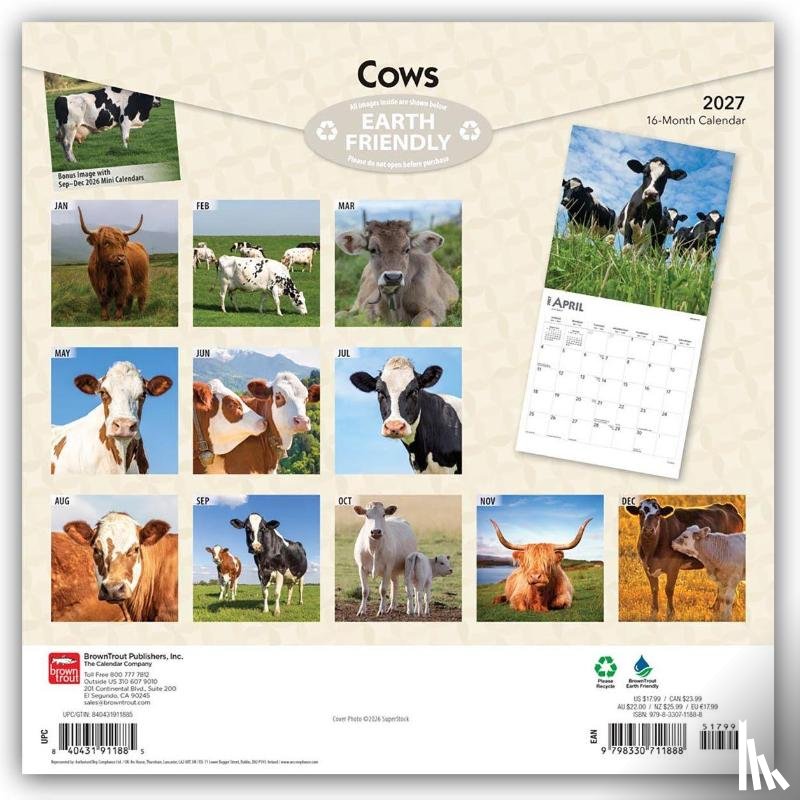 Browntrout - Cows 2027 12 X 24 Inch (Hanging) Monthly Square Wall Calendar Plastic-Free