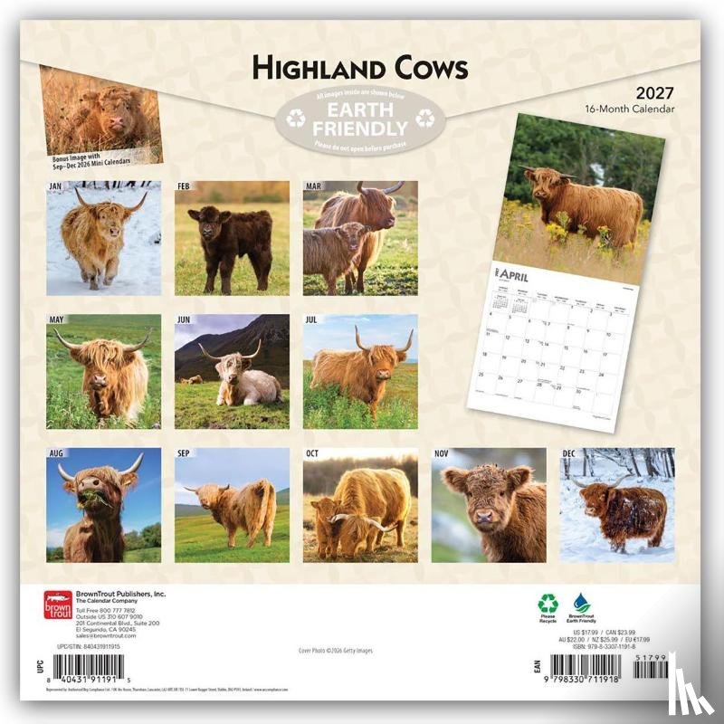 Browntrout - Highland Cows 2027 12 X 24 Inch (Hanging) Monthly Square Wall Calendar Plastic-Free
