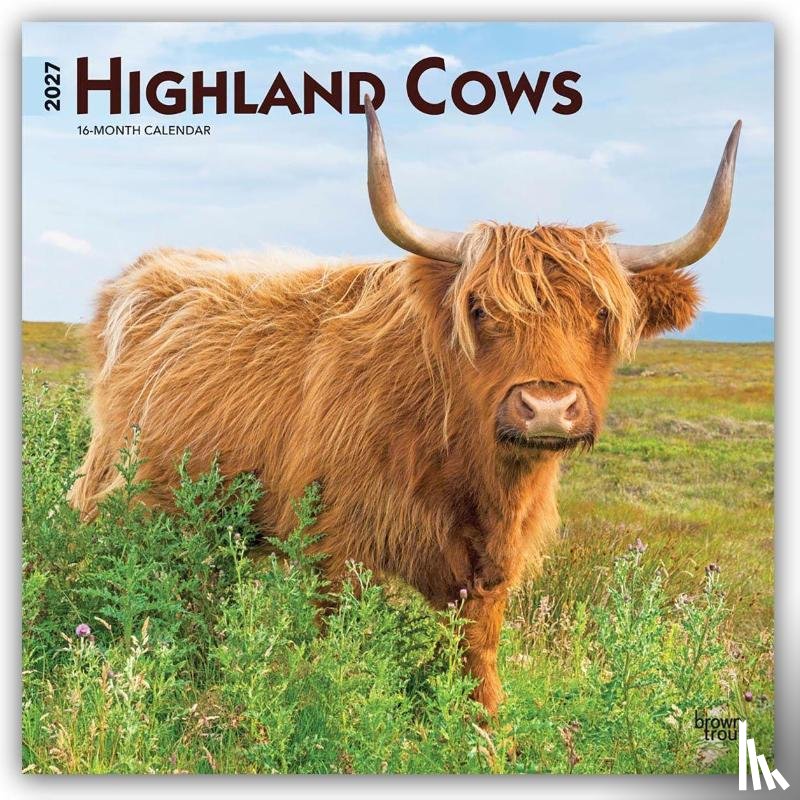 Browntrout - Highland Cows 2027 12 X 24 Inch (Hanging) Monthly Square Wall Calendar Plastic-Free