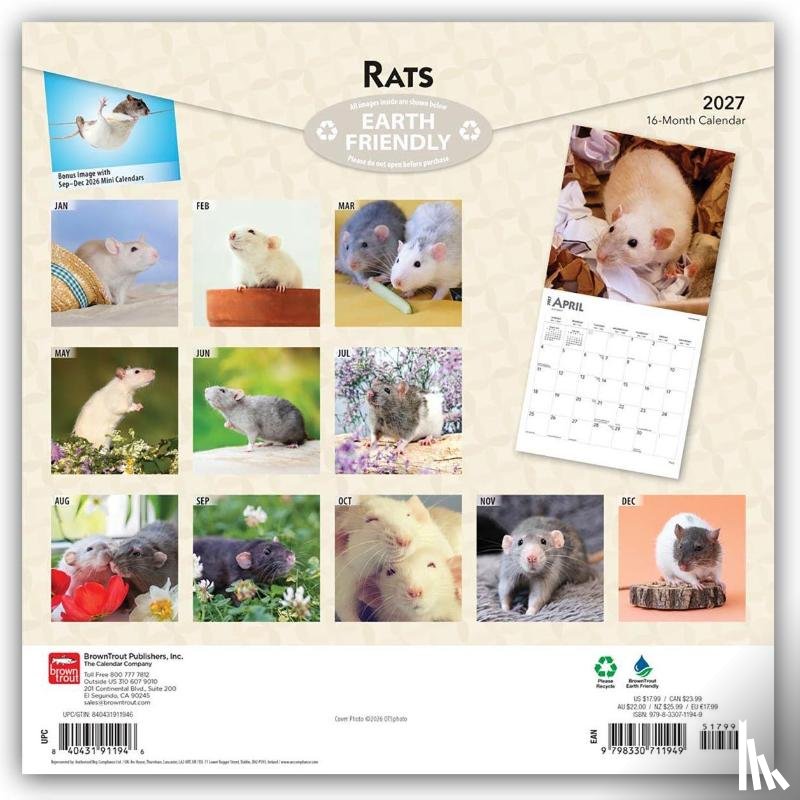Browntrout - Rats 2027 12 X 24 Inch (Hanging) Monthly Square Wall Calendar Plastic-Free