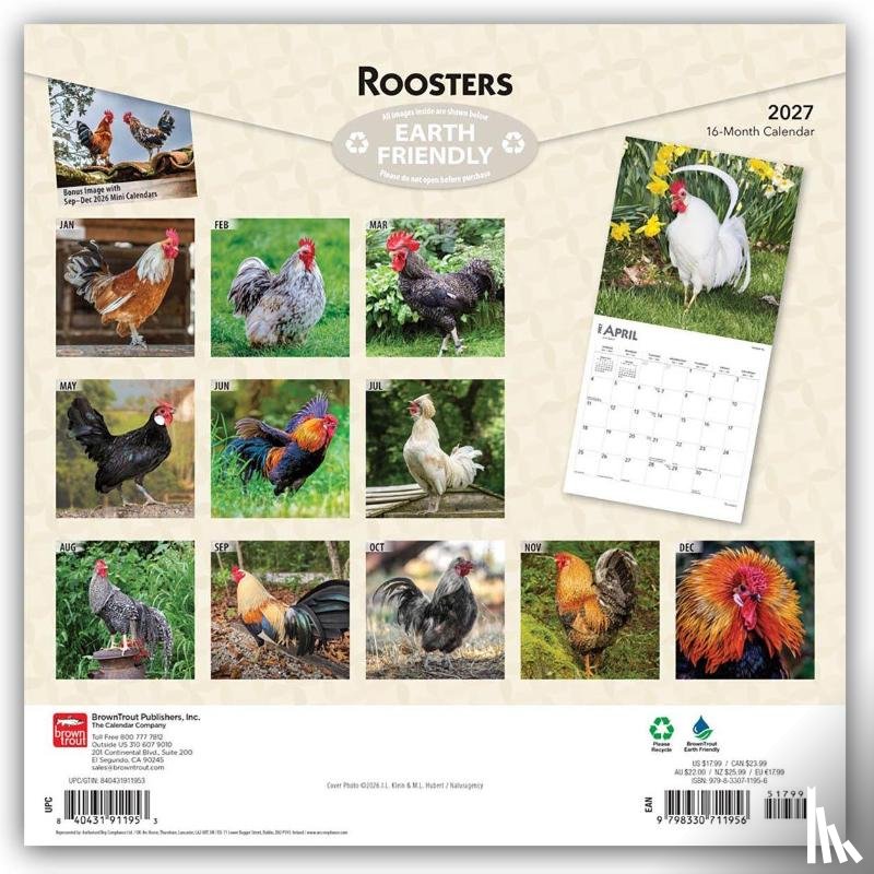 Browntrout - Roosters 2027 12 X 24 Inch (Hanging) Monthly Square Wall Calendar Plastic-Free