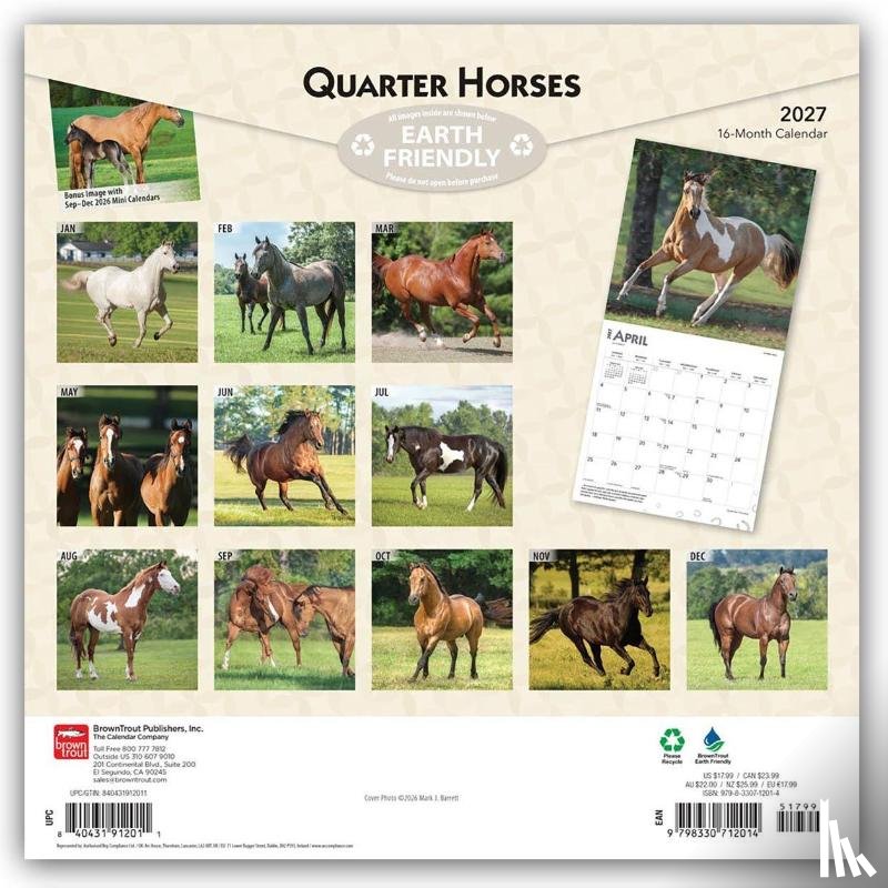 Browntrout - Quarter Horses 2027 12 X 24 Inch (Hanging) Monthly Square Wall Calendar Plastic-Free