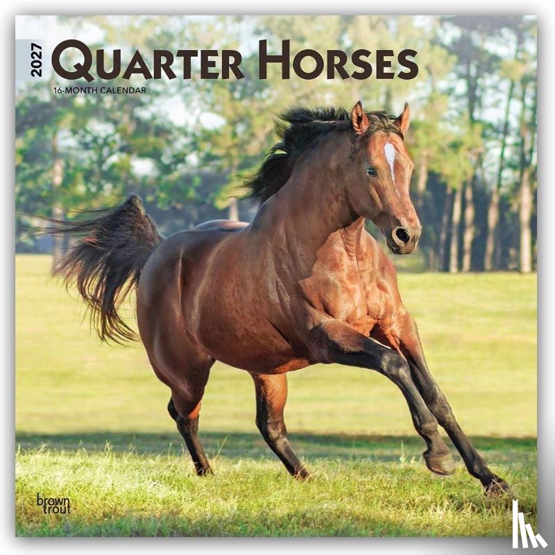 Browntrout - Quarter Horses 2027 12 X 24 Inch (Hanging) Monthly Square Wall Calendar Plastic-Free