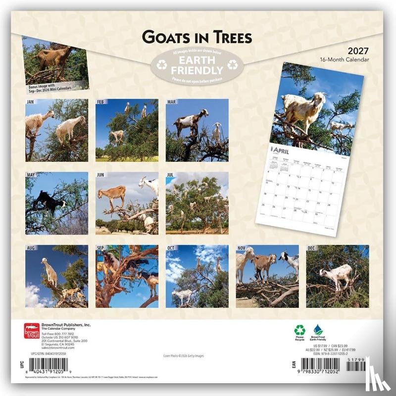 Browntrout - Goats in Trees 2027 12 X 24 Inch (Hanging) Monthly Square Wall Calendar Plastic-Free