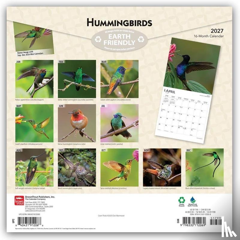 BrownTrout - Hummingbirds | 2027 12 x 24 Inch (Hanging) Monthly Square Wall Calendar | Foil Stamped Cover | Plastic-Free | BrownTrout | Animals Wildlife