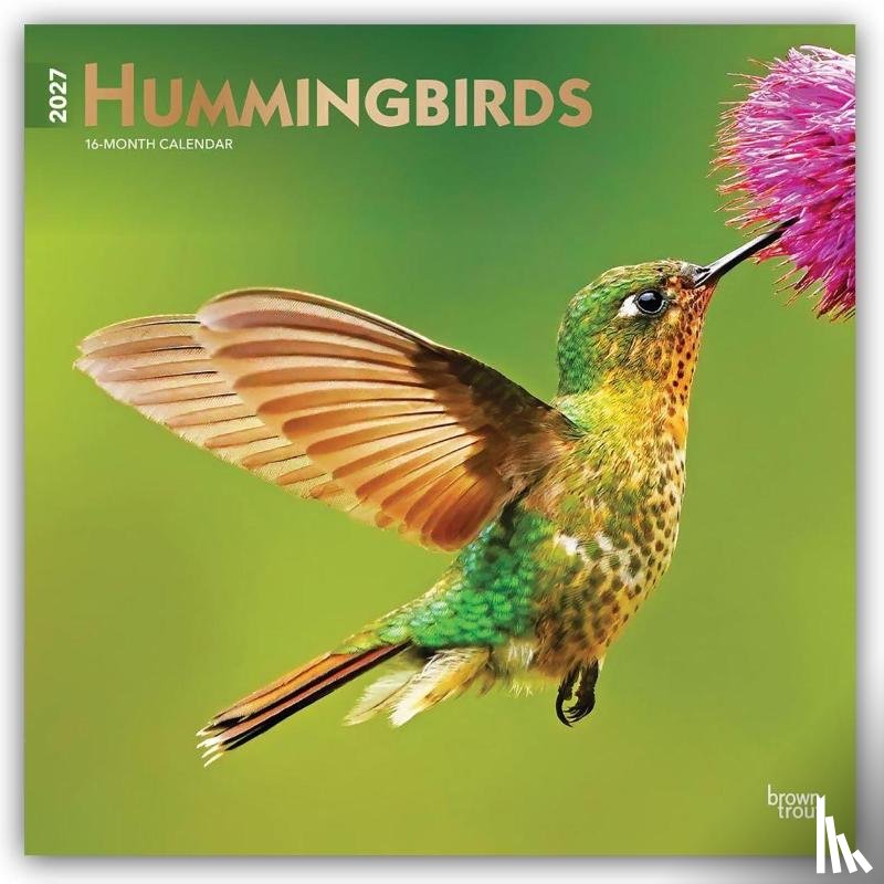 BrownTrout - Hummingbirds | 2027 12 x 24 Inch (Hanging) Monthly Square Wall Calendar | Foil Stamped Cover | Plastic-Free | BrownTrout | Animals Wildlife