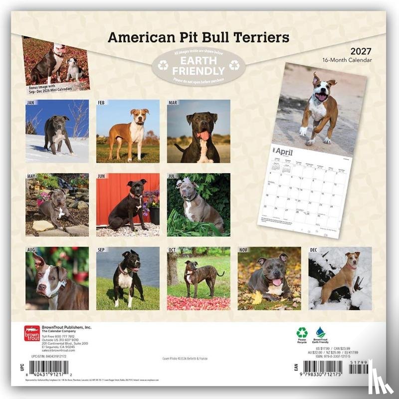 Browntrout - American Pit Bull Terriers 2027 12 X 24 Inch (Hanging) Monthly Square Wall Calendar Plastic-Free