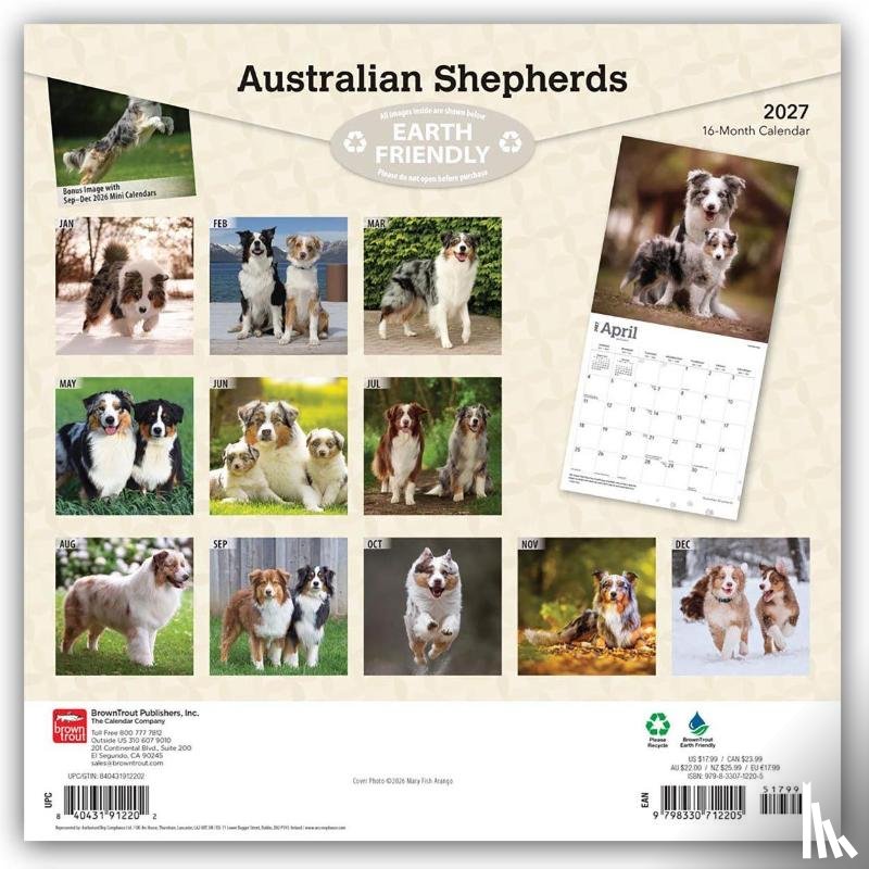 Browntrout - Australian Shepherds 2027 12 X 24 Inch (Hanging) Monthly Square Wall Calendar Plastic-Free