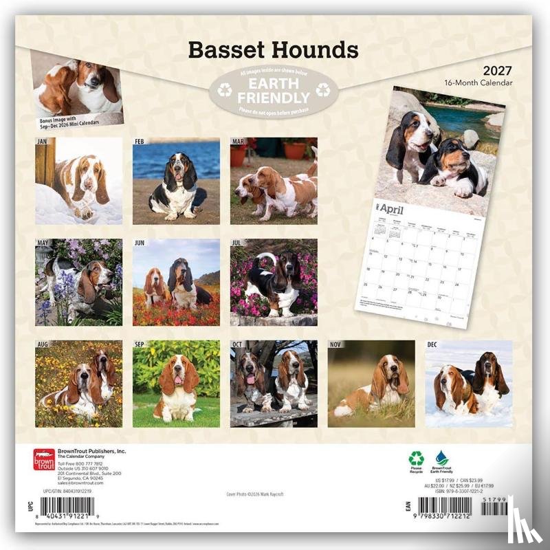 Browntrout - Basset Hounds 2027 12 X 24 Inch (Hanging) Monthly Square Wall Calendar Plastic-Free