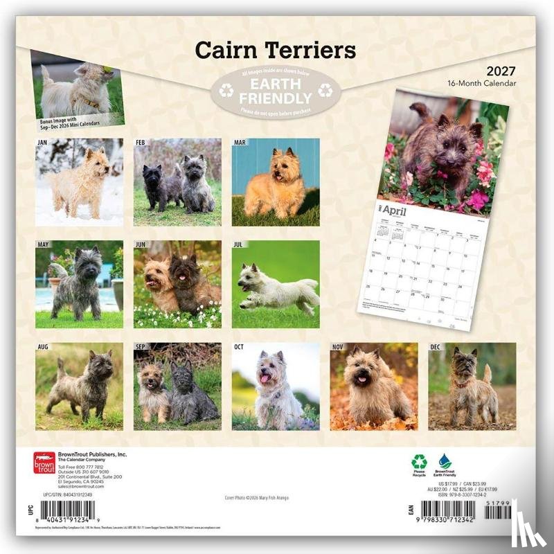 BrownTrout - Cairn Terriers | 2027 12 x 24 Inch (Hanging) Monthly Square Wall Calendar | Plastic-Free | BrownTrout | Animals Dog Breeds