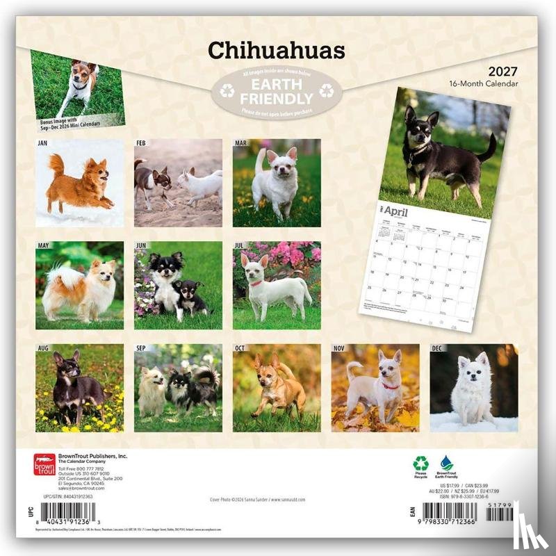 BrownTrout - Chihuahuas | 2027 12 x 24 Inch (Hanging) Monthly Square Wall Calendar | Plastic-Free | BrownTrout | Animals Small Dog Breeds Puppies