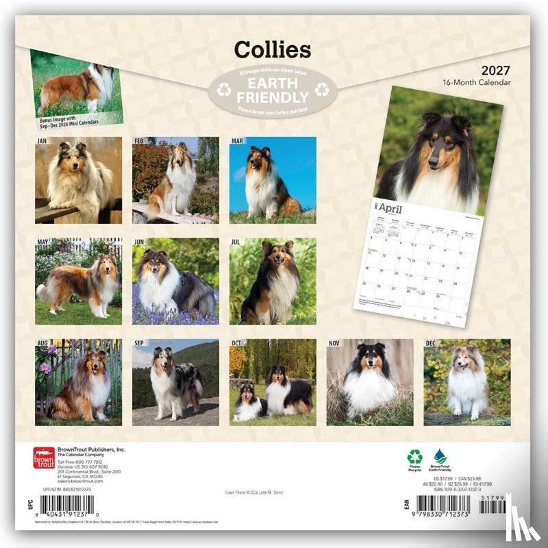 Browntrout - Collies 2027 12 X 24 Inch (Hanging) Monthly Square Wall Calendar Plastic-Free
