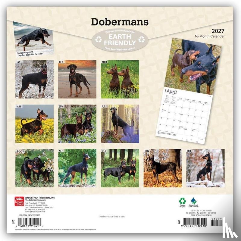 Browntrout - Dobermans 2027 12 X 24 Inch (Hanging) Monthly Square Wall Calendar Plastic-Free