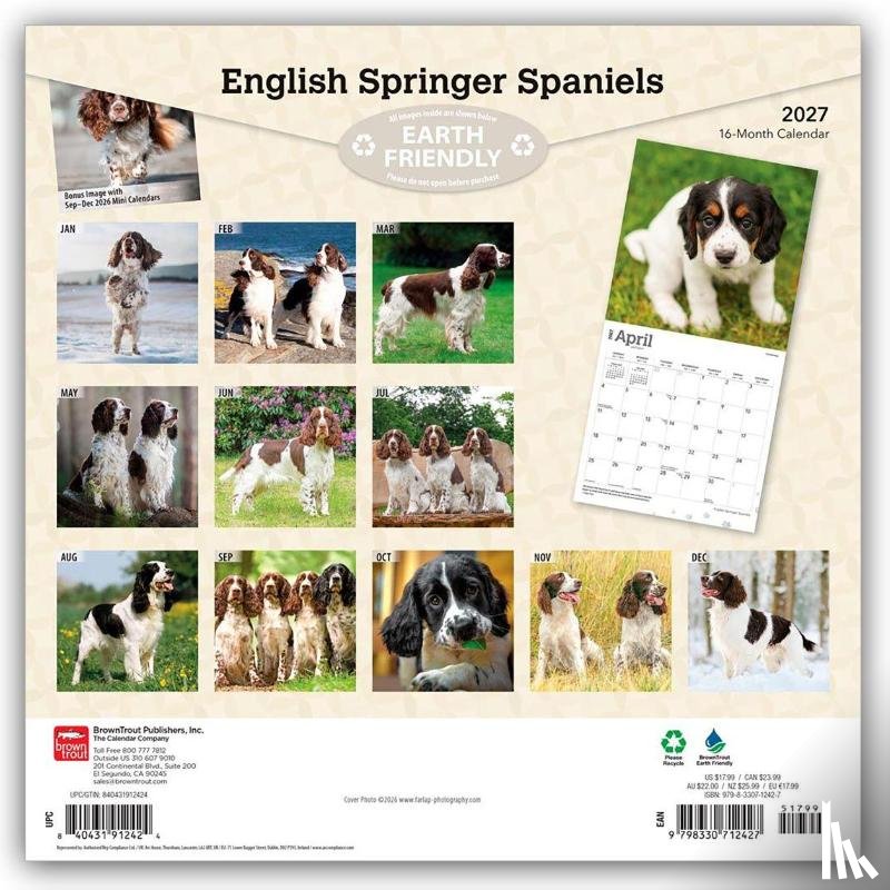 BrownTrout - English Springer Spaniels | 2027 12 x 24 Inch (Hanging) Monthly Square Wall Calendar | Plastic-Free | BrownTrout | Animals Dog Breeds