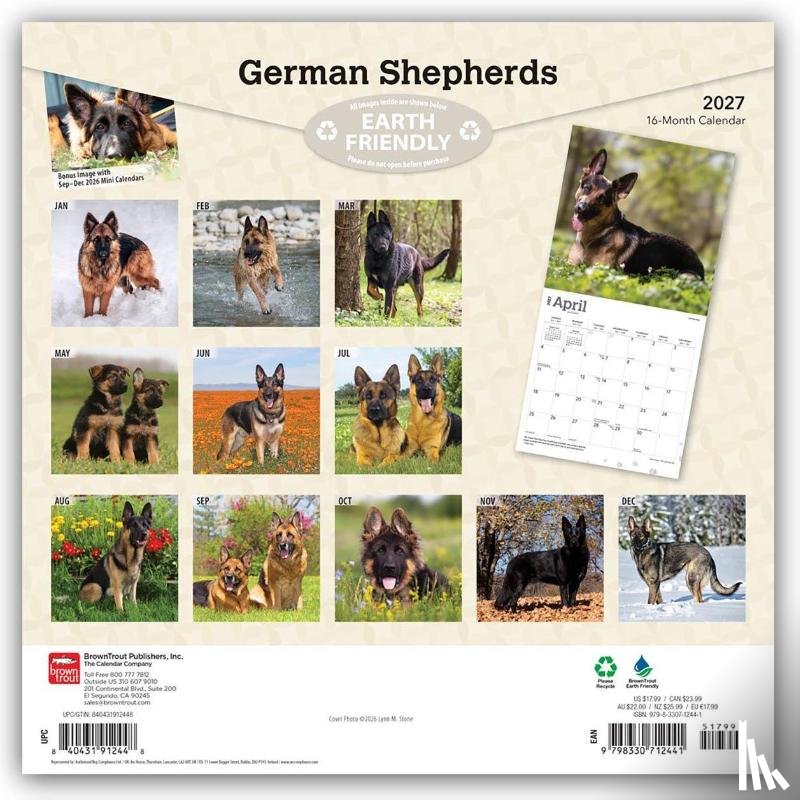 Browntrout - German Shepherds 2027 12 X 24 Inch (Hanging) Monthly Square Wall Calendar Plastic-Free