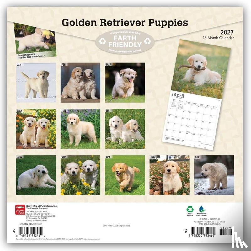 Browntrout - Golden Retriever Puppies 2027 12 X 24 Inch (Hanging) Monthly Square Wall Calendar Plastic-Free