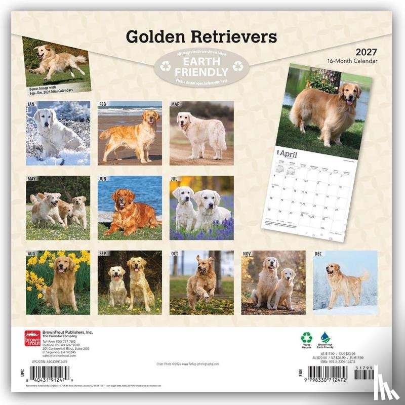 Browntrout - Golden Retrievers 2027 12 X 24 Inch (Hanging) Monthly Square Wall Calendar Foil Stamped Cover Plastic-Free