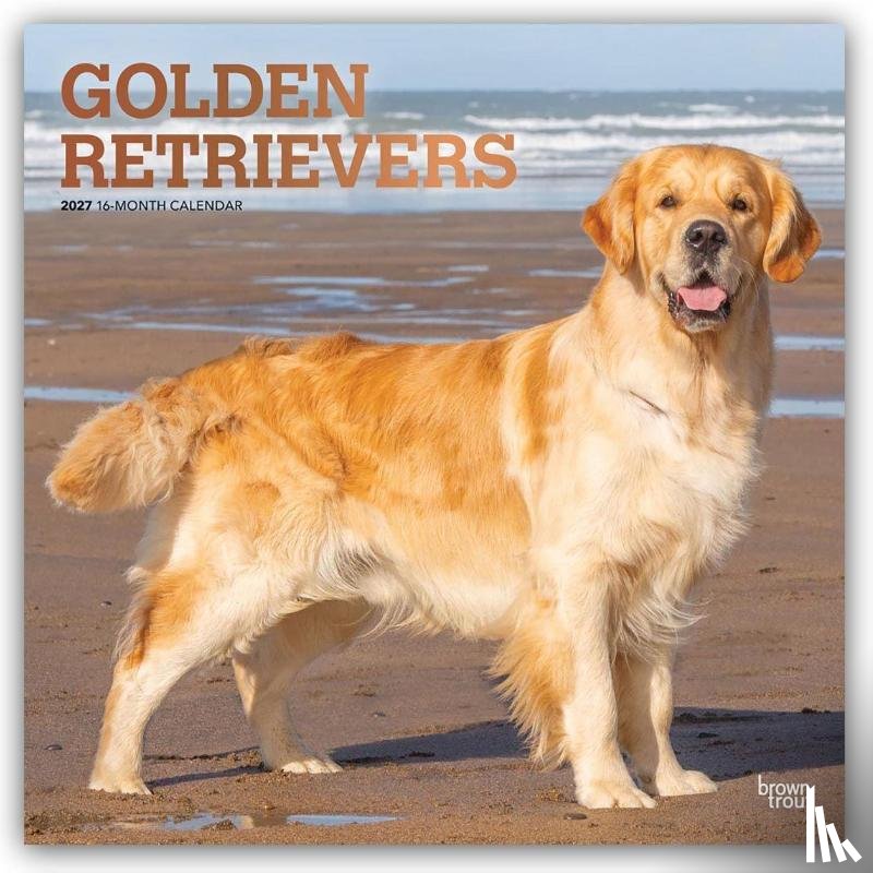 Browntrout - Golden Retrievers 2027 12 X 24 Inch (Hanging) Monthly Square Wall Calendar Foil Stamped Cover Plastic-Free