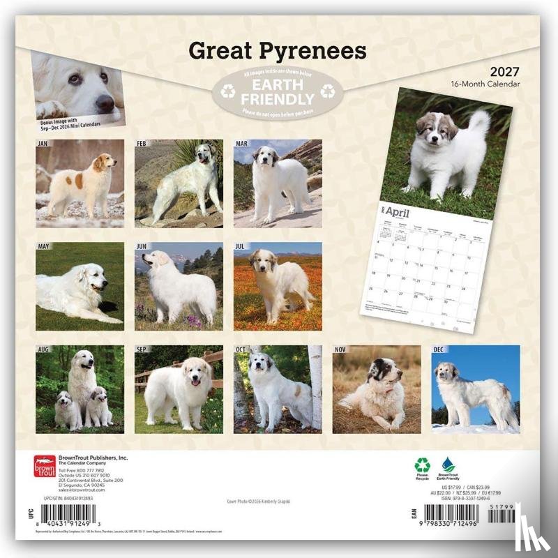 Browntrout - Great Pyrenees 2027 12 X 24 Inch (Hanging) Monthly Square Wall Calendar Plastic-Free