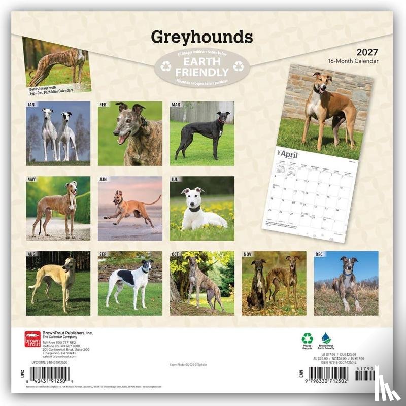 BrownTrout - Greyhounds | 2027 12 x 24 Inch (Hanging) Monthly Square Wall Calendar | Plastic-Free | BrownTrout | Animals Dog Breeds