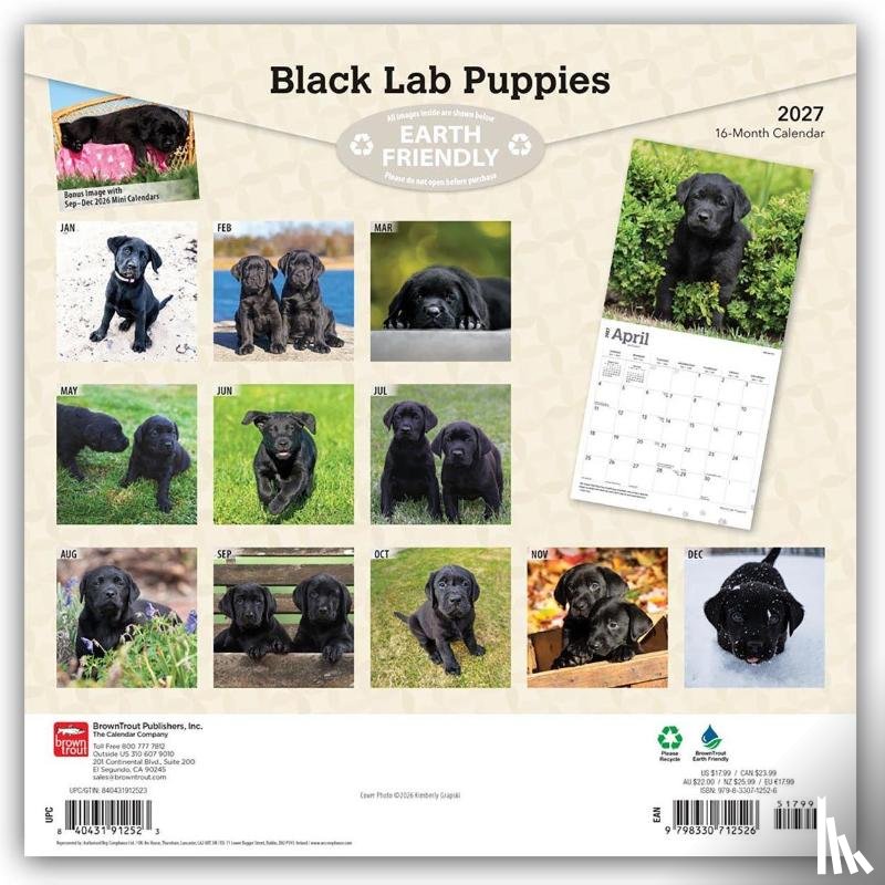 Browntrout - Black Labrador Retriever Puppies 2027 12 X 24 Inch (Hanging) Monthly Square Wall Calendar Plastic-Free