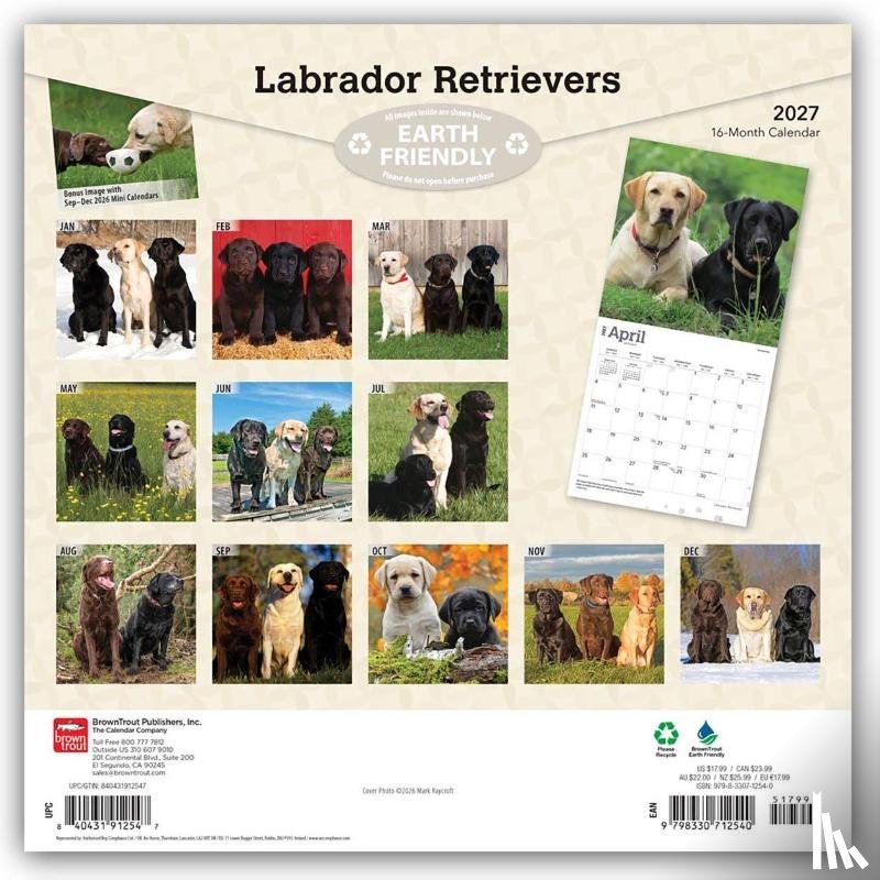 Browntrout - Labrador Retrievers 2027 12 X 24 Inch (Hanging) Monthly Square Wall Calendar Plastic-Free