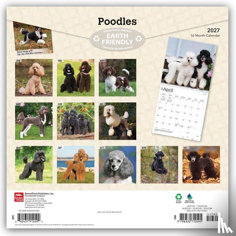 BrownTrout - Poodles | 2027 12 x 24 Inch (Hanging) Monthly Square Wall Calendar | Plastic-Free | BrownTrout | Animals Dog Breeds