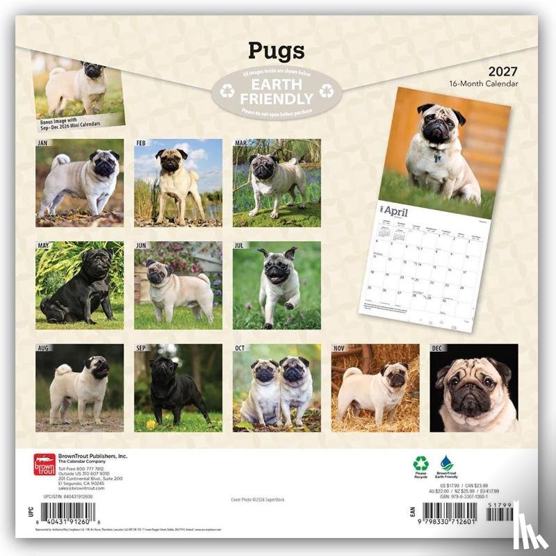 Browntrout - Pugs 2027 12 X 24 Inch (Hanging) Monthly Square Wall Calendar Plastic-Free