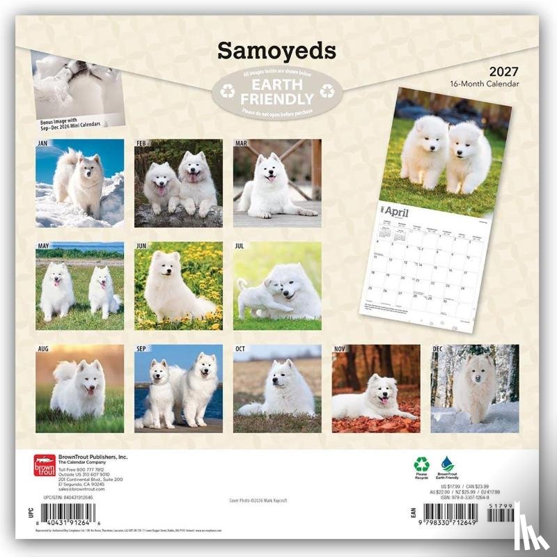 BrownTrout - Samoyeds | 2027 12 x 24 Inch (Hanging) Monthly Square Wall Calendar | Plastic-Free | BrownTrout | Animals Dog Breeds