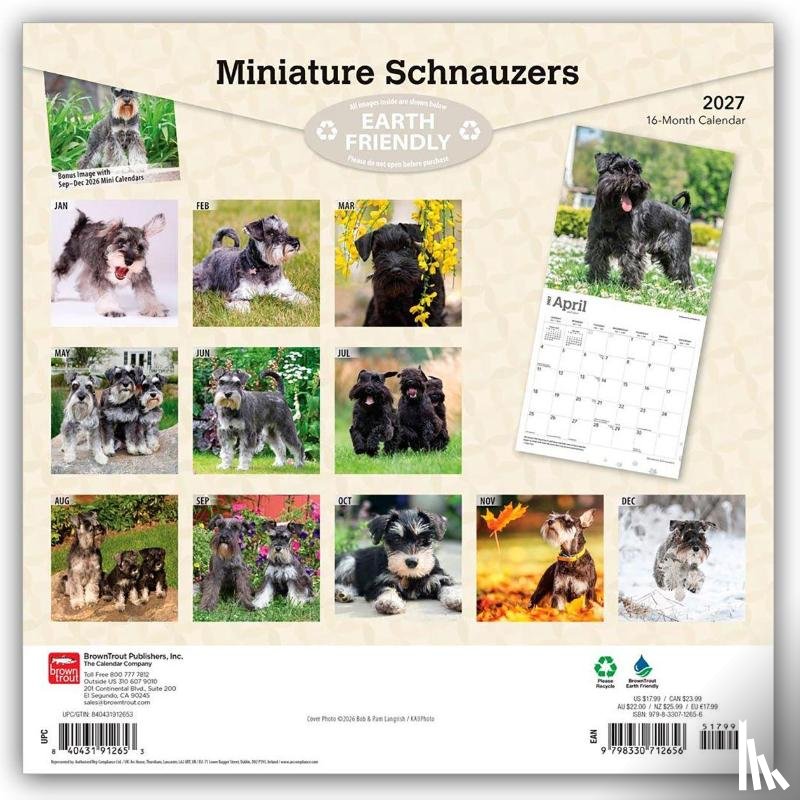 BrownTrout - Miniature Schnauzers | 2027 12 x 24 Inch (Hanging) Monthly Square Wall Calendar | Plastic-Free | BrownTrout | Animals Small Dog Breeds