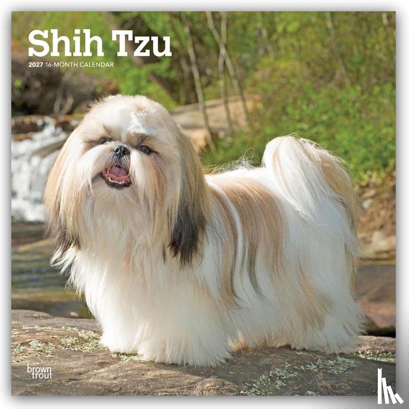 Browntrout - Shih Tzu 2027 12 X 24 Inch (Hanging) Monthly Square Wall Calendar Plastic-Free