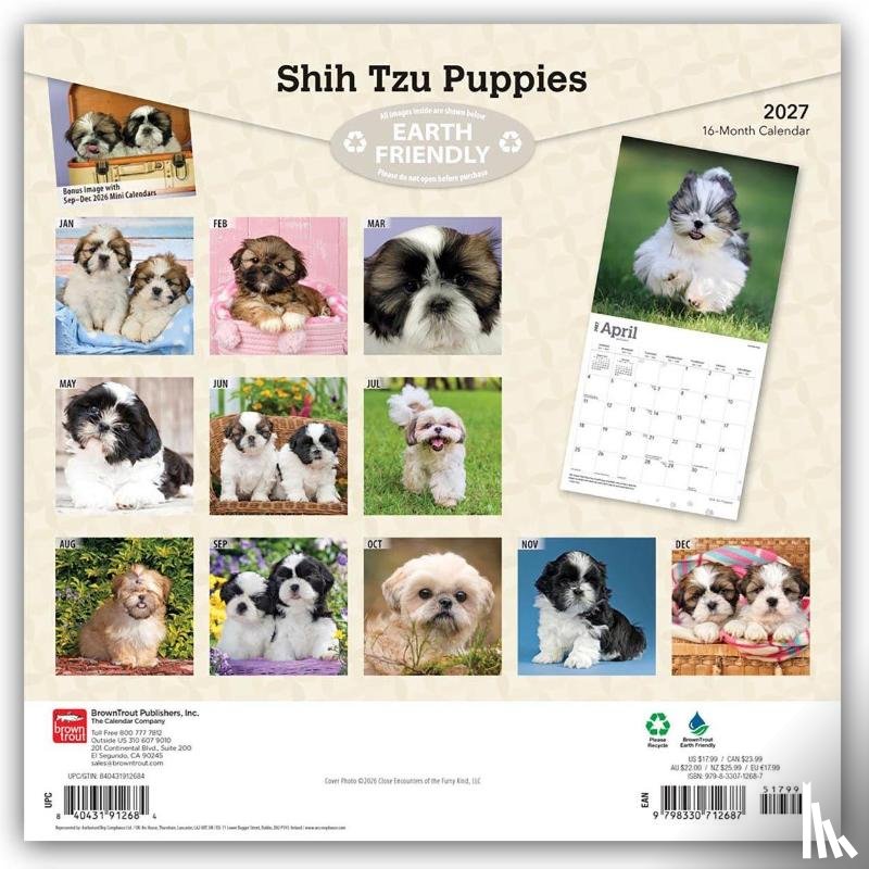 Browntrout - Shih Tzu Puppies 2027 12 X 24 Inch (Hanging) Monthly Square Wall Calendar Plastic-Free