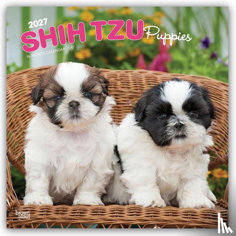 Browntrout - Shih Tzu Puppies 2027 12 X 24 Inch (Hanging) Monthly Square Wall Calendar Plastic-Free