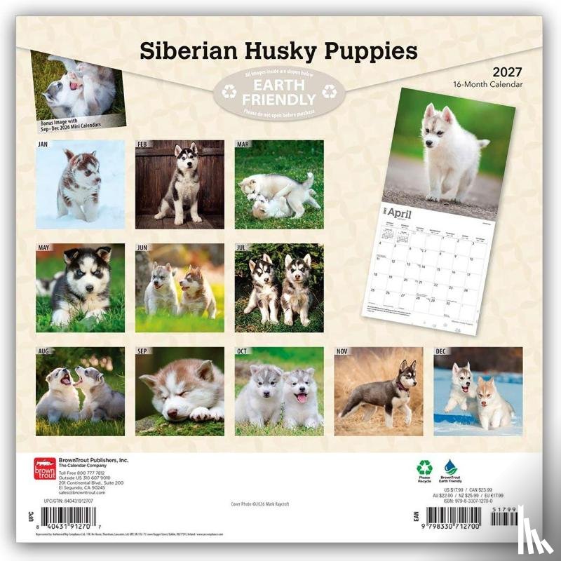 BrownTrout - Siberian Husky Puppies | 2027 12 x 24 Inch (Hanging) Monthly Square Wall Calendar | Plastic-Free | BrownTrout | Animal Dog Breeds