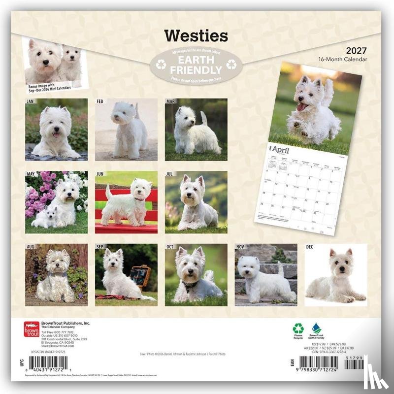 Browntrout - West Highland White Terriers 2027 12 X 24 Inch (Hanging) Monthly Square Wall Calendar Plastic-Free