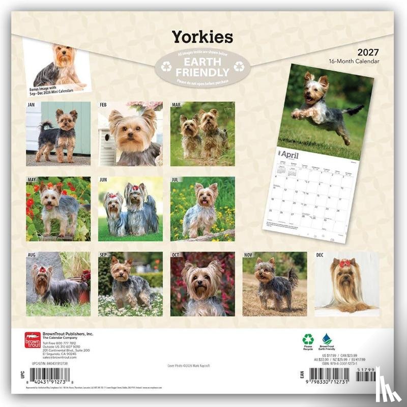 Browntrout - Yorkshire Terriers 2027 12 X 24 Inch (Hanging) Monthly Square Wall Calendar Plastic-Free