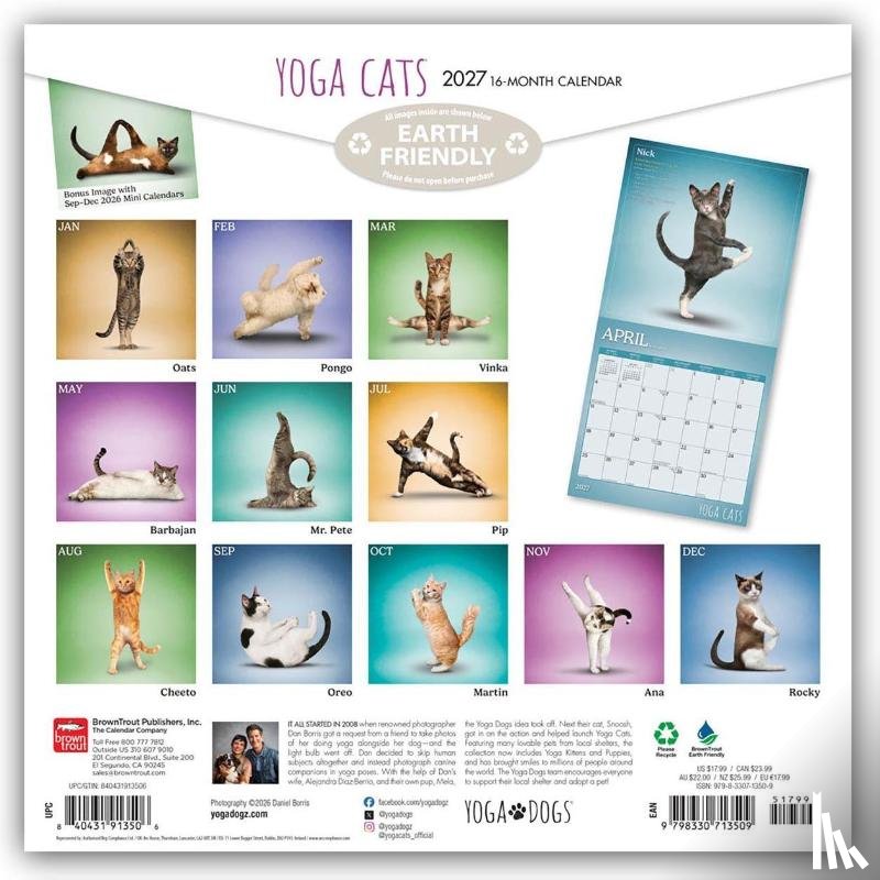 Browntrout - Yoga Cats Official 2027 12 X 24 Inch (Hanging) Monthly Square Wall Calendar Plastic-Free