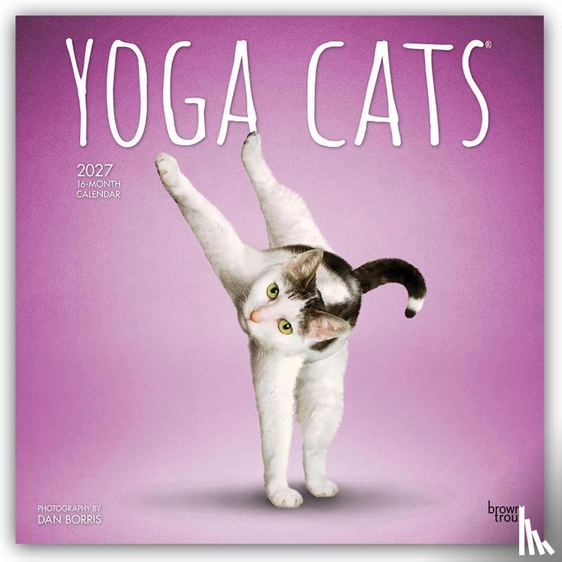 Publishers, Browntrout - Yoga Cats - Katzen Yoga 2027 - 16-Monatskalender