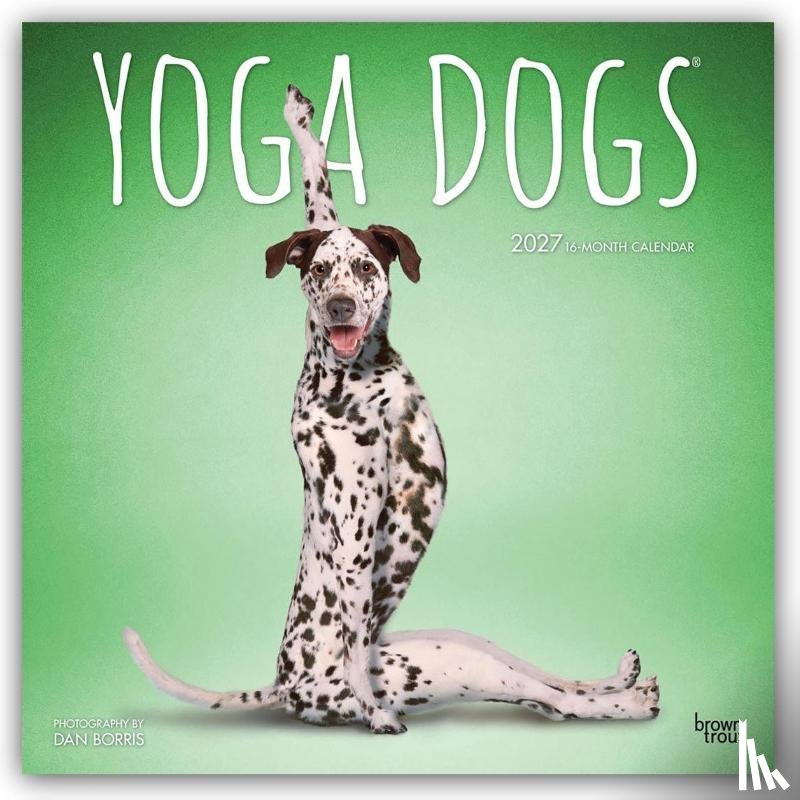 Browntrout - Yoga Dogs Official 2027 12 X 24 Inch (Hanging) Monthly Square Wall Calendar Plastic-Free