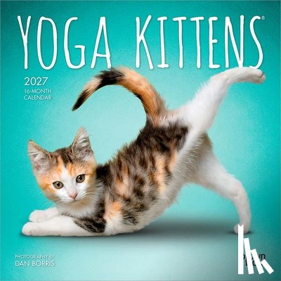Browntrout - Yoga Kittens Official 2027 7 X 14 Inch (Hanging) Monthly Mini Wall Calendar