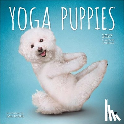 Browntrout - Yoga Puppies Official 2027 7 X 14 Inch (Hanging) Monthly Mini Wall Calendar