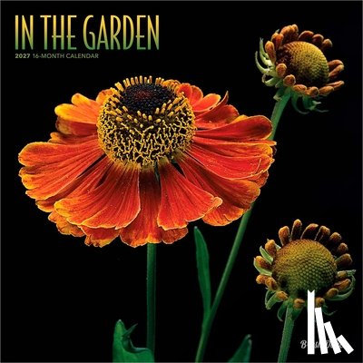 Brush Dance - In the Garden | 2027 12 x 24 Inch (Hanging) Monthly Square Wall Calendar | Plastic-Free | Brush Dance | Flowers Plants Floral Photography