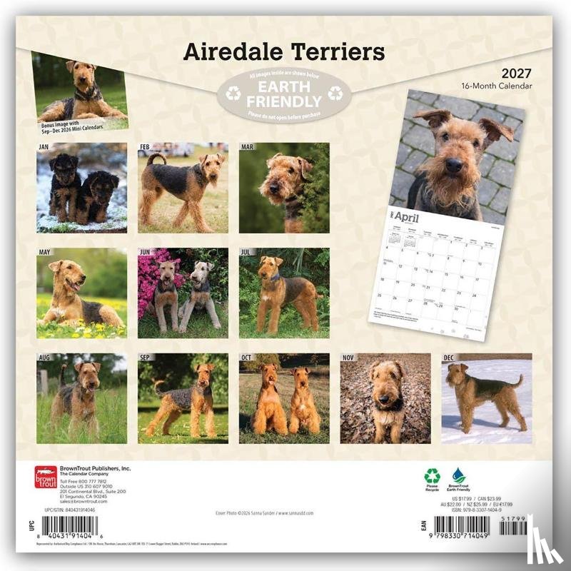 Browntrout - Airedale Terriers 2027 12 X 24 Inch (Hanging) Monthly Square Wall Calendar Plastic-Free