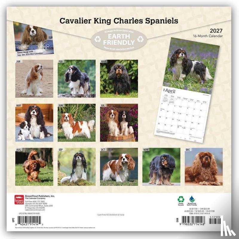 Browntrout - Cavalier King Charles Spaniels 2027 12 X 24 Inch (Hanging) Monthly Square Wall Calendar Plastic-Free